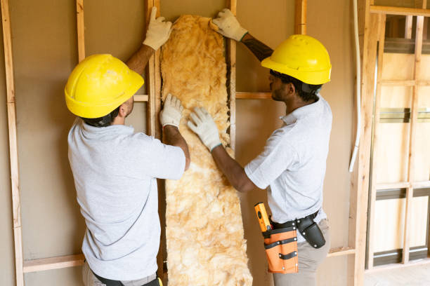 Best Professional Insulation Contractor  in Northwest Ithaca, NY